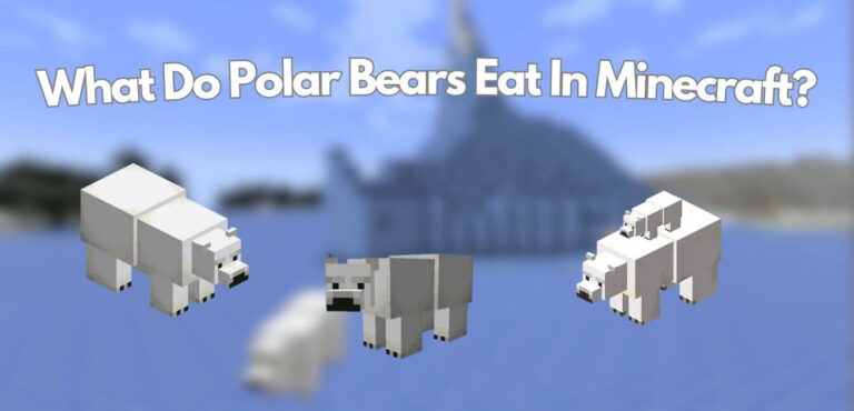 What Do Polar Bears Eat In Minecraft? (V1.20+)