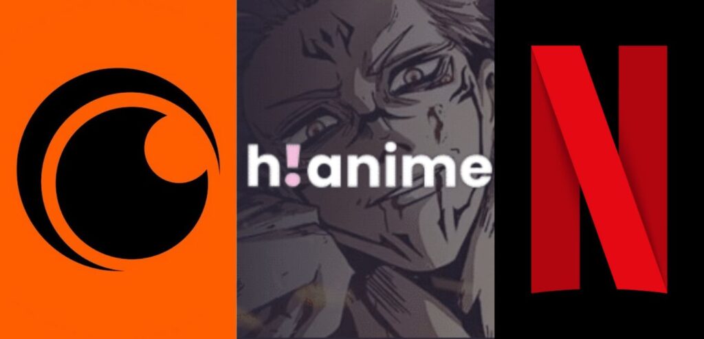Best Anime Streaming Platforms Ranked - 2025