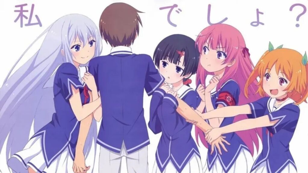 Harem The Different Types of Anime Genres Explained and Why They Matter